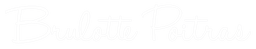 Logo Brulotte Poitras Entrepreneur Général inc., Rénovateur résidentiel à Québec