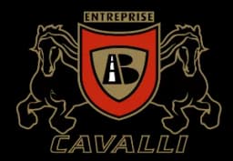 Logo Entreprises B. Cavalli Inc., Entrepreneur général à Montréal